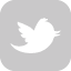 Follow us on Twitter